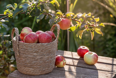 Similar image 21282385