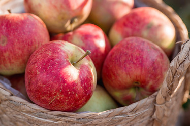 Similar image 21282388