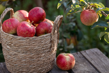 Similar image 21282389