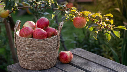 Similar image 21282390