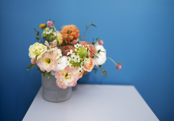 Similar image 21287127