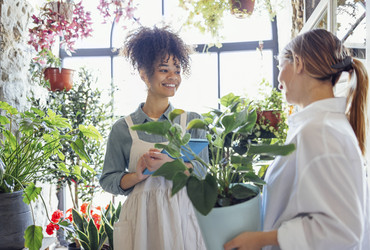 Similar image 21287628