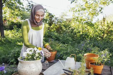 Similar image 21287640