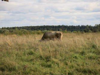 Similar image 21277193