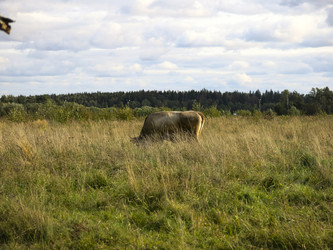 Similar image 21277194