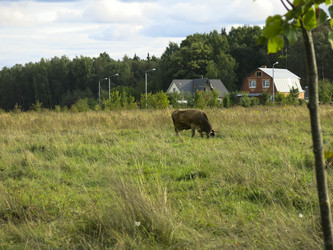 Similar image 21277195