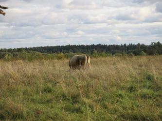 Similar image 21277196