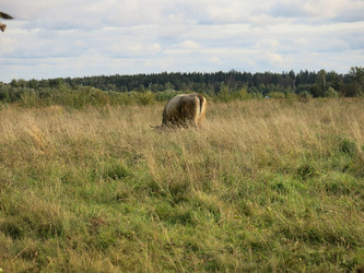 Similar image 21277197