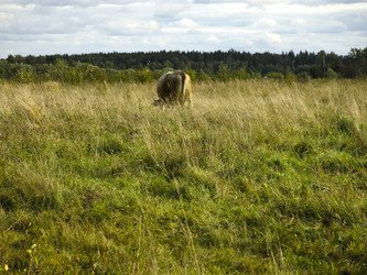 Similar image 21277198