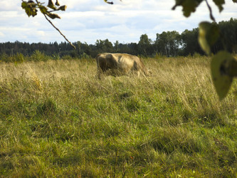 Similar image 21277199