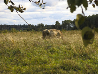 Similar image 21277200