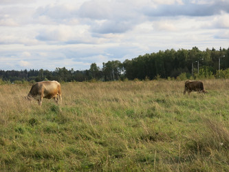 Similar image 21277201