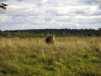 Similar image 21277202