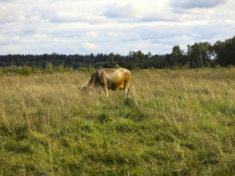 Similar image 21277220