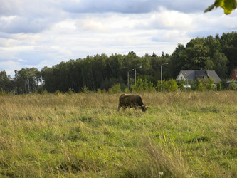 Similar image 21277221