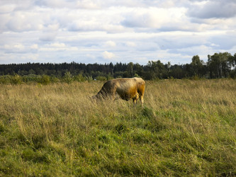 Similar image 21277222