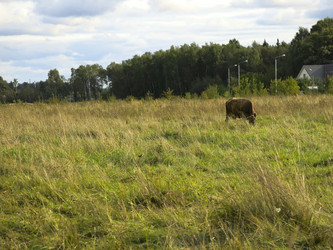 Similar image 21277223