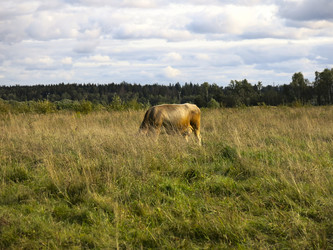 Similar image 21277224