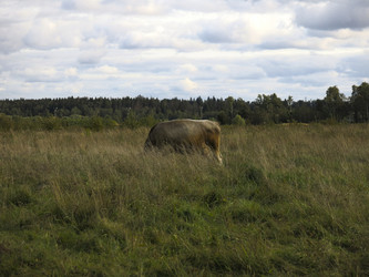 Similar image 21277225