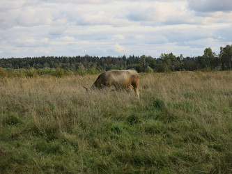 Similar image 21277226