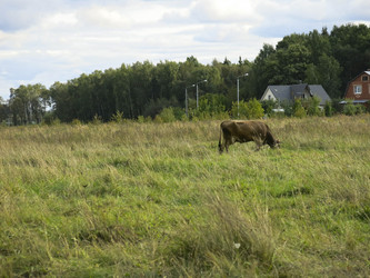 Similar image 21277227