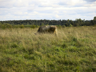 Similar image 21277228