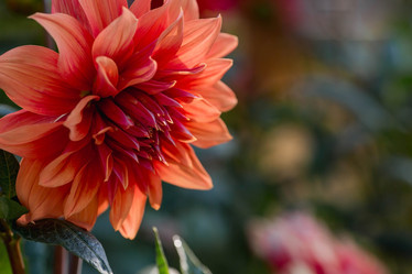 Similar image 21282462