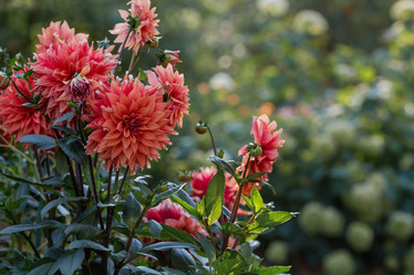 Similar image 21282463