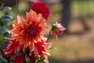 Similar image 21282464