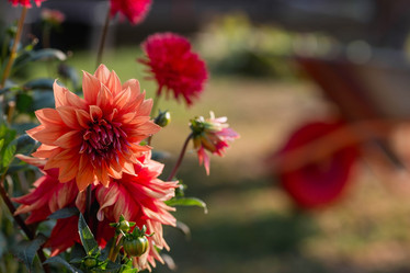 Similar image 21282465