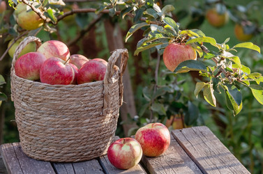 Similar image 21282466