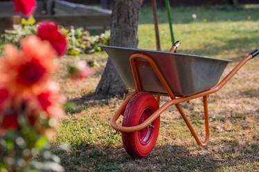 Similar image 21282467