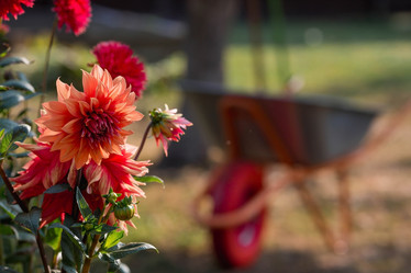 Similar image 21282468