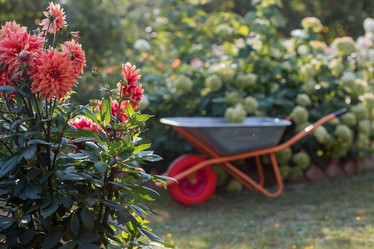 Similar image 21282469