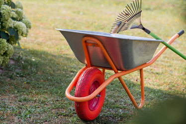 Similar image 21282470