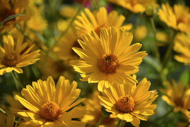 Similar image 21289216