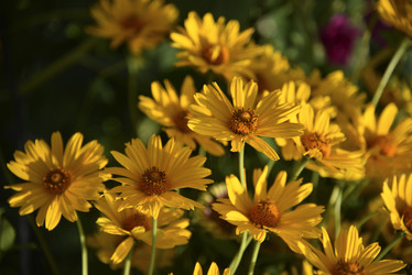 Similar image 21289218