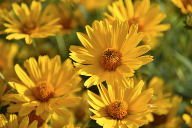 Similar image 21289219