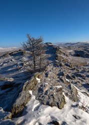 Similar image 21277251