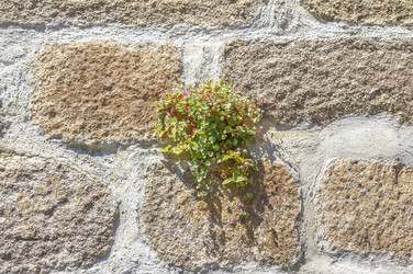 Similar image 21283001