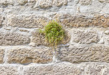 Similar image 21283002