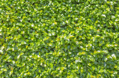 Similar image 21283003