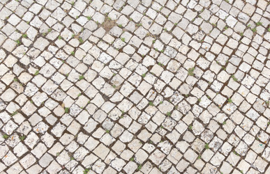 Similar image 21283006