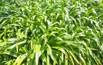 Similar image 21283008