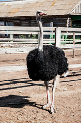 Similar image 21280369