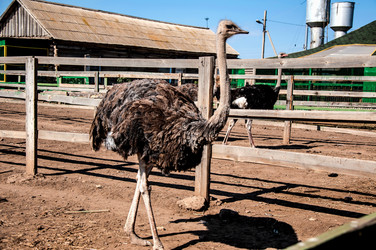 Similar image 21280370