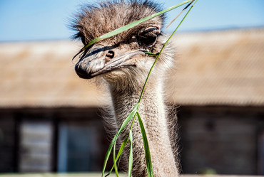 Similar image 21280371