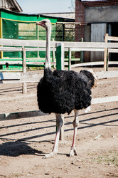 Similar image 21280372