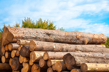 Similar image 21280374