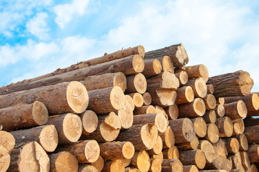 Similar image 21280375